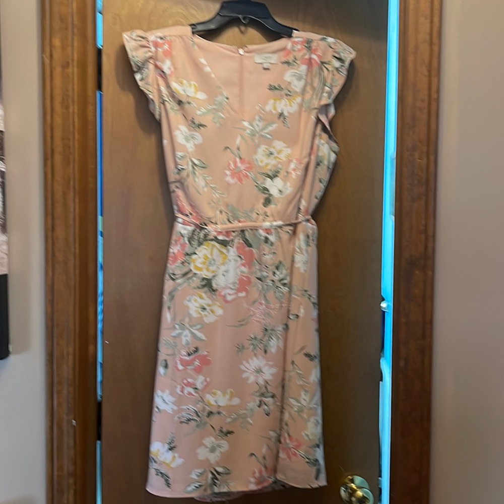 Size Large Womens Loft Dress